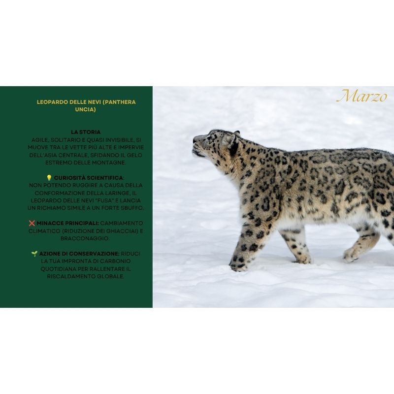 Calendario WILD Pact 2026 — 12 Animali, 12 Storie