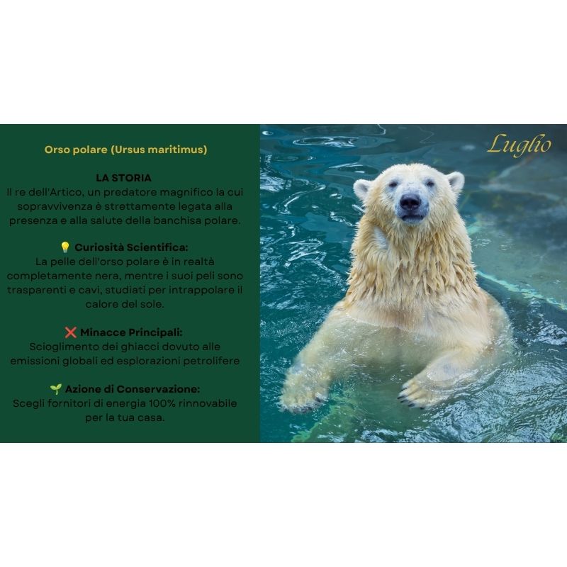 Calendario WILD Pact 2026 — 12 Animali, 12 Storie