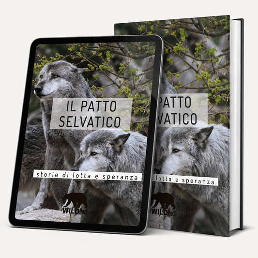 Il Patto Selvatico — Ebook Ufficiale WILD Pact