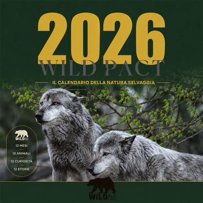 Calendario WILD Pact 2026 — 12 Animali, 12 Storie